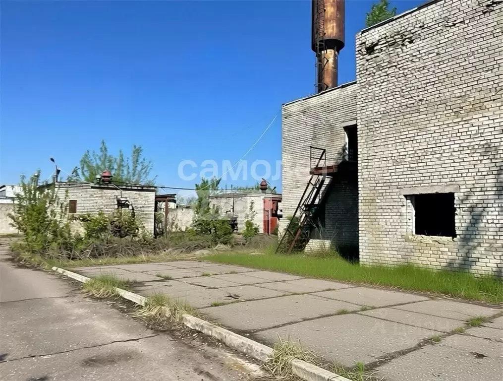 Помещение свободного назначения в Курская область, Курчатовский район, ... - Фото 1