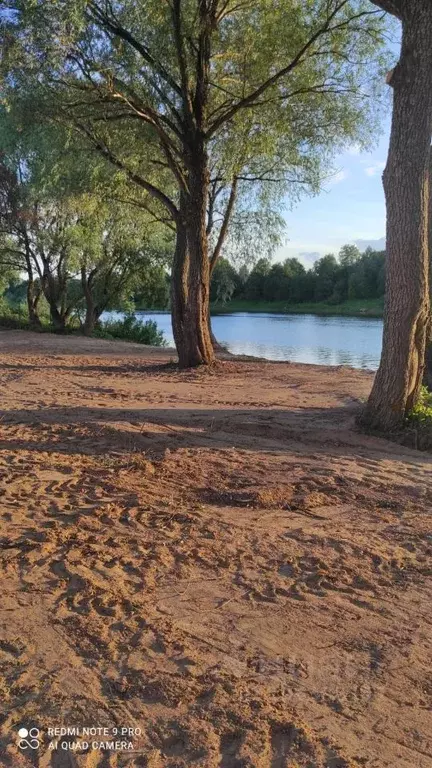 Участок в Новгородская область, Новгородский район, Бронницкое с/пос, ... - Фото 0