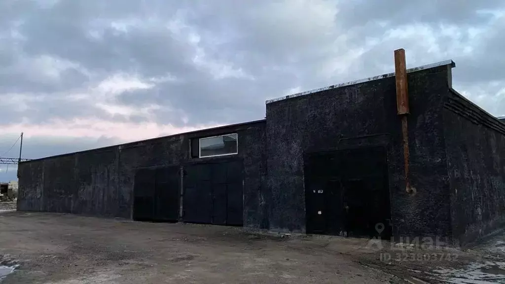 Производственное помещение в Новгородская область, Новгородский район, ... - Фото 1