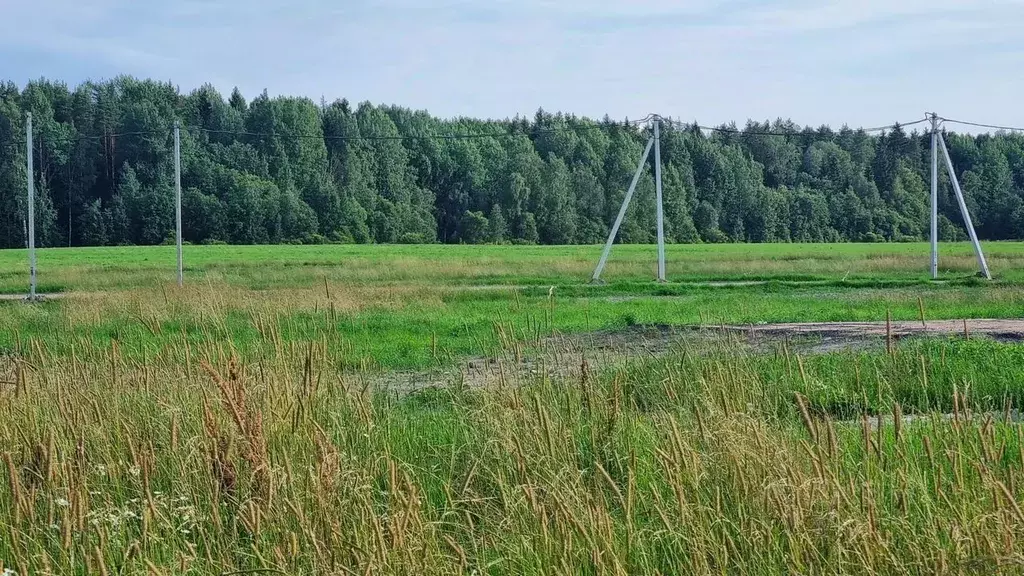 Участок в Санкт-Петербург пос. Левашово, Про Левашово кп,  (12.0 сот.) - Фото 0