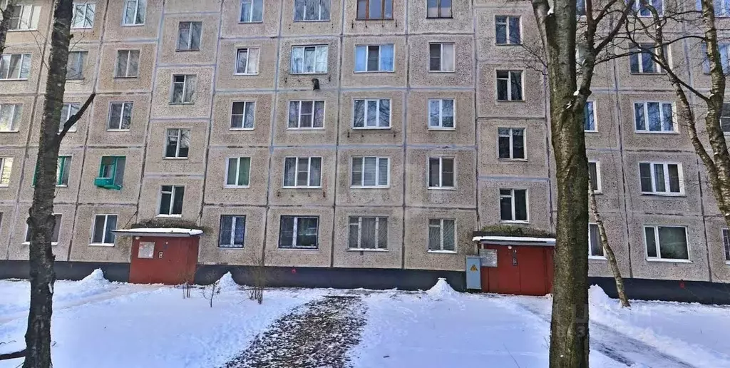 Комната Санкт-Петербург просп. Большевиков, 65К2 (17.0 м) - Фото 1