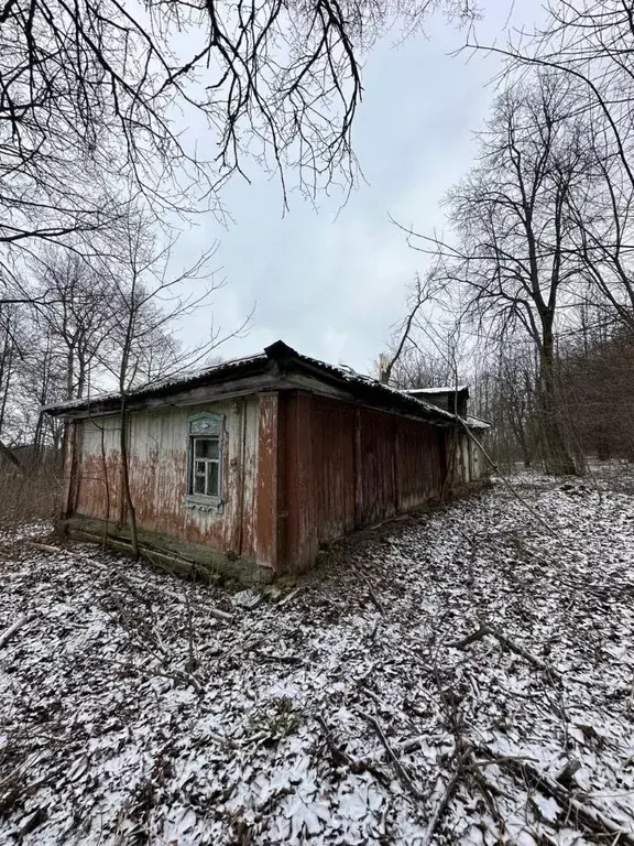 Дом в Московская область, Зарайск муниципальный округ, д. Чернево ул. ... - Фото 1
