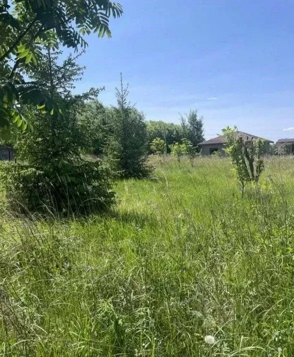 Участок в Московская область, Коломна Подлипки р-н,  (12.27 сот.) - Фото 0