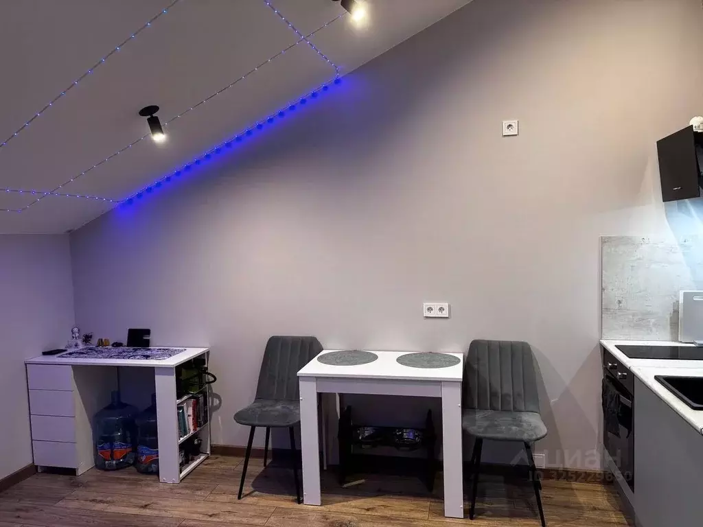 Студия Санкт-Петербург Челябинская ул., 37 (26.8 м) - Фото 2