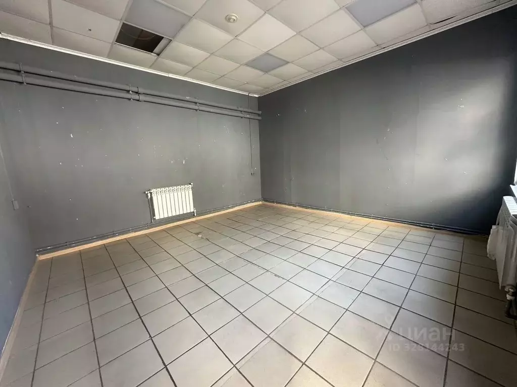 Помещение свободного назначения в Московская область, Павловский Посад ... - Фото 1