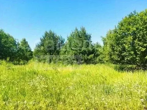 Участок в Севастополь СТ Дружба ТСН, 37А (5.0 сот.) - Фото 2