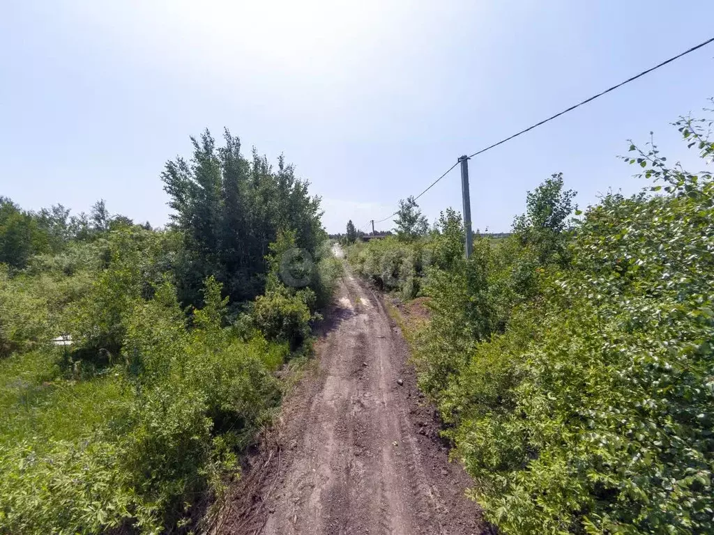 Участок в Тюменская область, Тюмень Поле Чудес садовое товарищество, ... - Фото 1