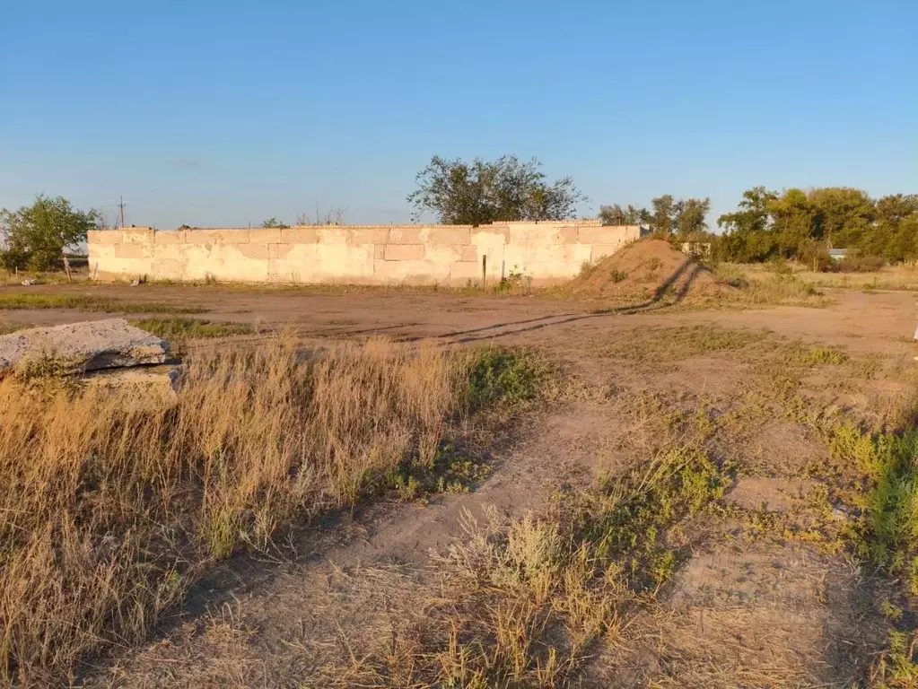 Участок в Волгоградская область, Краснослободск Среднеахтубинский ... - Фото 2