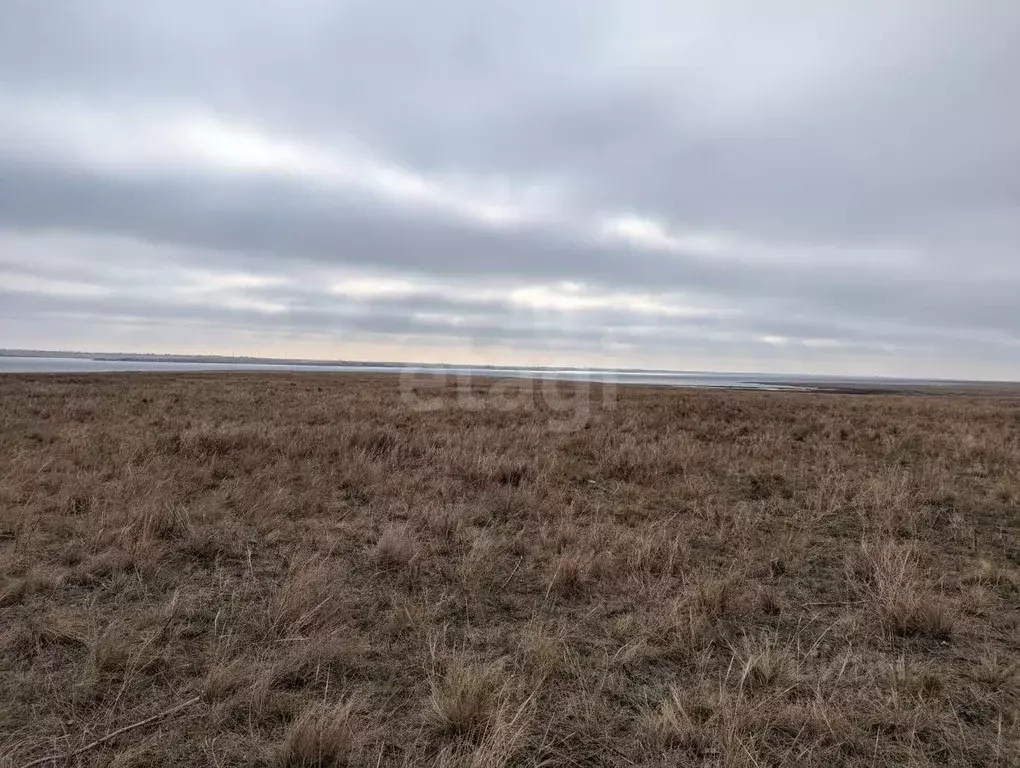 Участок в Крым, Черноморский район, с. Новоивановка ул. Цветочная (7.0 ... - Фото 0