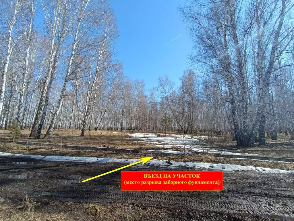 Участок в Челябинская область, Сосновский муниципальный округ, пос. ... - Фото 2