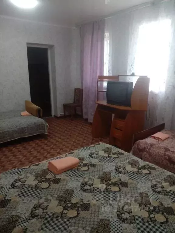 Дом в Воронежская область, Павловск ул. Чкалова, 32 (60 м) - Фото 0