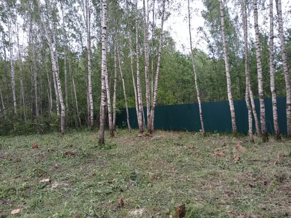 Участок в Московская область, Павловский Посад  (8.0 сот.) - Фото 1