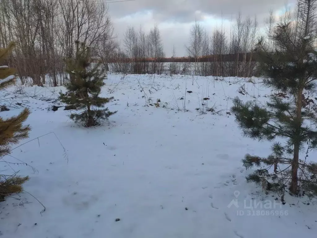 Участок в Московская область, Клин городской округ, д. Бирево  (10.0 ... - Фото 1