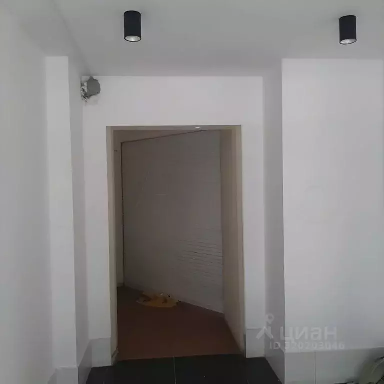 Торговая площадь в Новосибирская область, Новосибирск ул. Ватутина, 14 ... - Фото 0