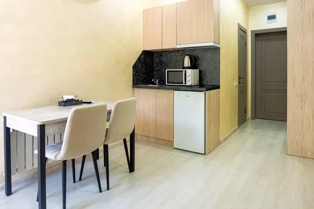 Студия Краснодарский край, Сочи ул. Чекменева, 18 (19.0 м) - Фото 1