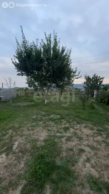 Участок в Сунженский район, село Галашки (65 м) - Фото 2