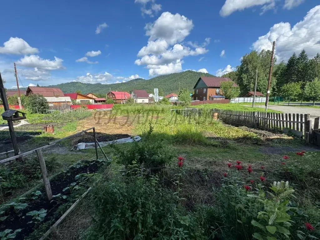 3-к кв. Алтай, Майминский район, с. Соузга Центральная ул. (57.9 м) - Фото 2