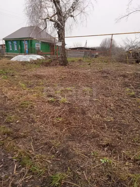 Участок в Тамбовская область, Тамбовский муниципальный округ, с. ... - Фото 1