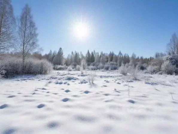 Участок в Новгородская область, Чудовский район, Грузинское с/пос, д. ... - Фото 1