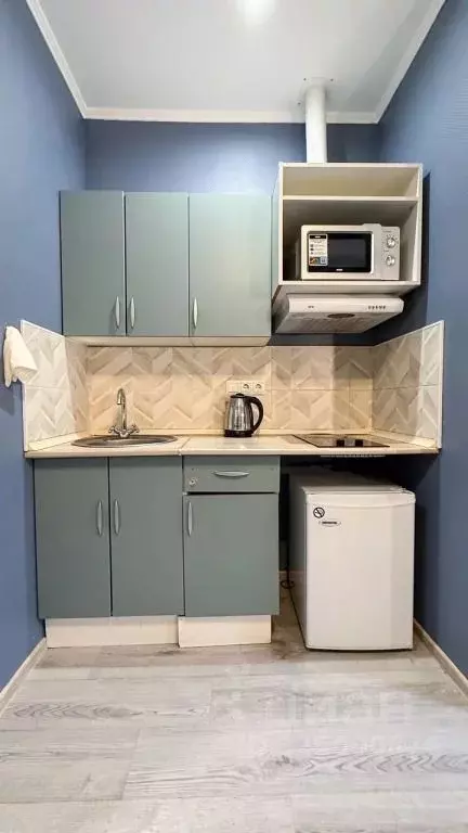 1-к кв. Москва, Москва, Московский г. ул. Солнечная, 3Ас3 (18.0 м) - Фото 2