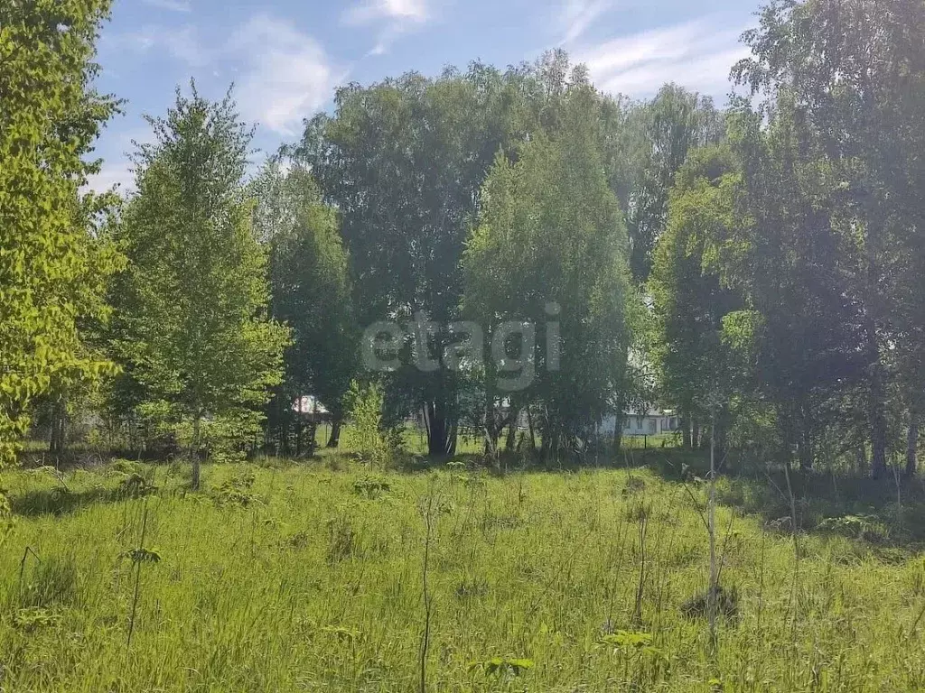 Участок в Новосибирская область, Новосибирский район, Кудряшовский ... - Фото 1
