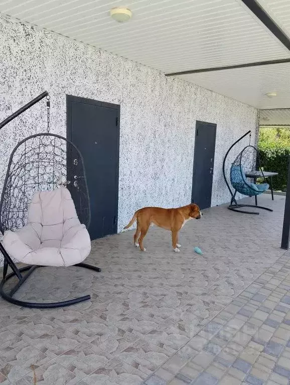 Комната Севастополь, Севастополь, Балаклава г. Благодатный ... - Фото 1