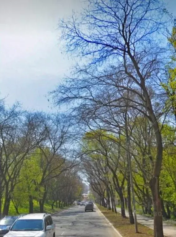 Участок в Крым, Симферополь ул. Объездная, 4 (42.0 сот.) - Фото 0