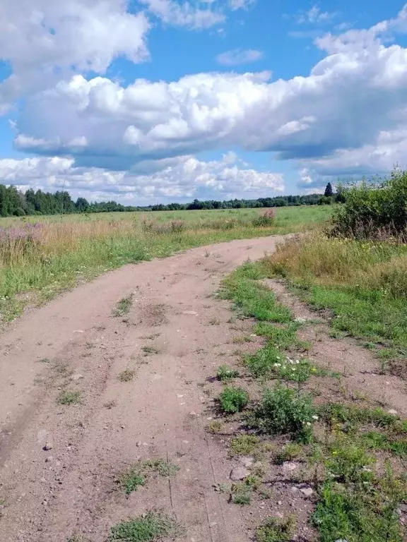 Участок в Ленинградская область, Выборгский район, Красносельское ... - Фото 0