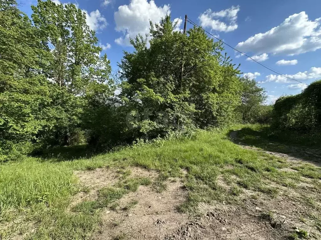 Участок в Белгородская область, Белгородский район, Беломестненское ... - Фото 0
