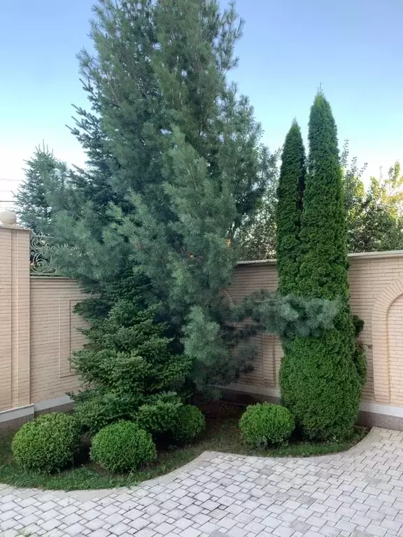 Дом в Северная Осетия, Владикавказ ул. Левченко (613 м) - Фото 0