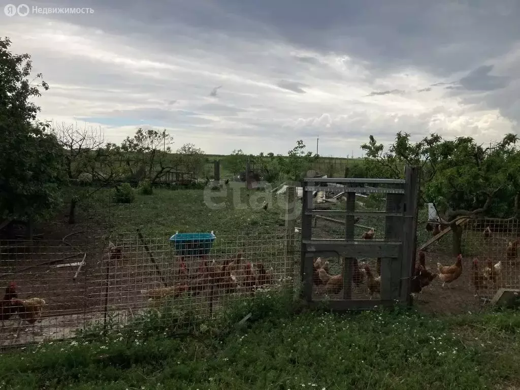 Участок в Ромашкино, Молодёжная улица (10 м) - Фото 2
