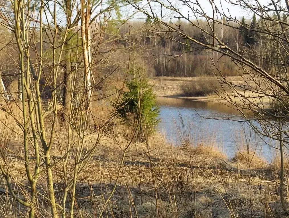 Участок в Новгородская область, Чудово  (10.0 сот.) - Фото 2