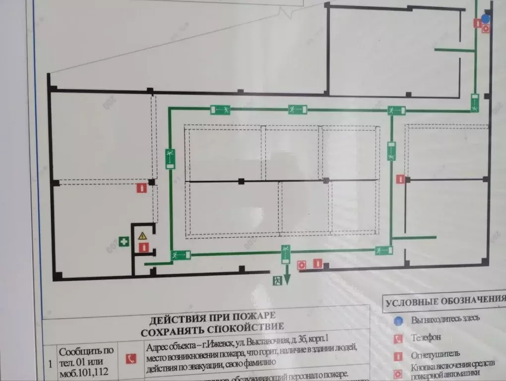 Помещение свободного назначения в Удмуртия, Ижевск Выставочная ул., ... - Фото 1