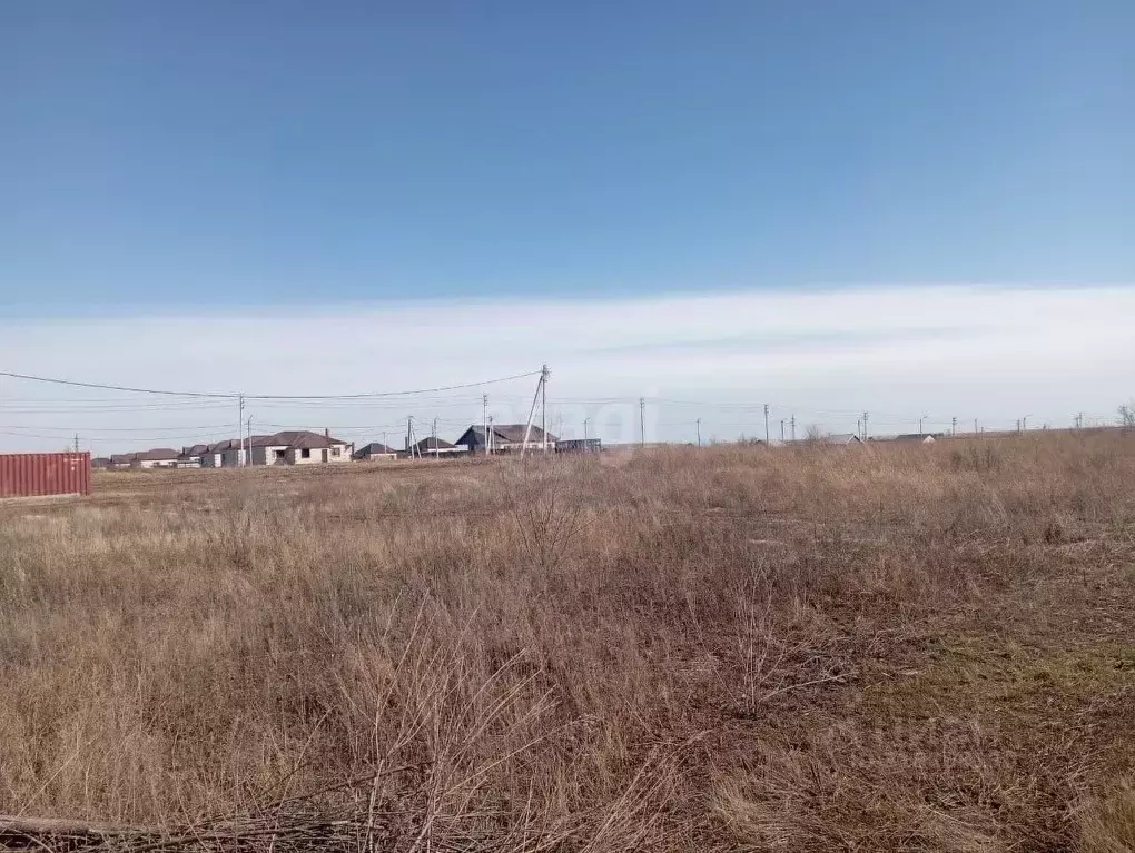 Участок в Амурская область, Благовещенский район, с. Волково  (11.6 ... - Фото 1