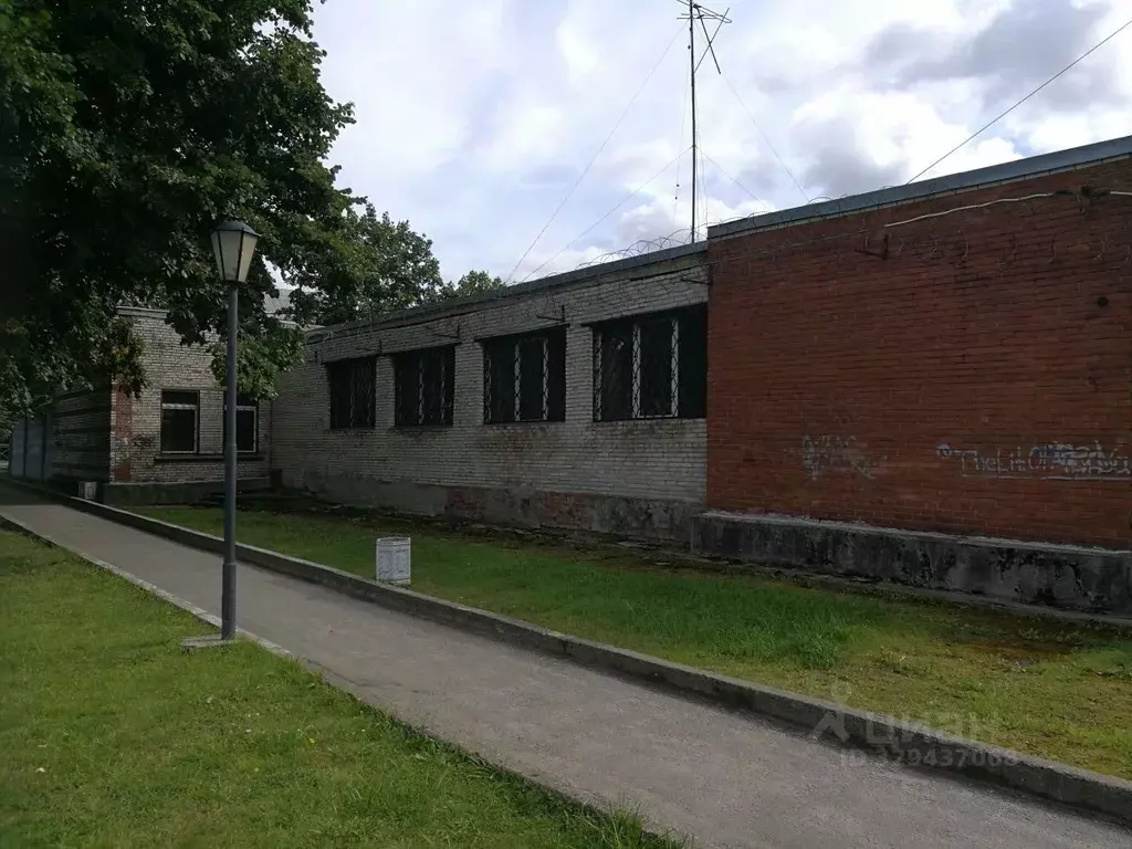 Помещение свободного назначения в Ленинградская область, Отрадное ... - Фото 1