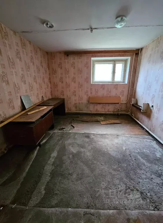 Помещение свободного назначения в Брянская область, Брянск ул. ... - Фото 0