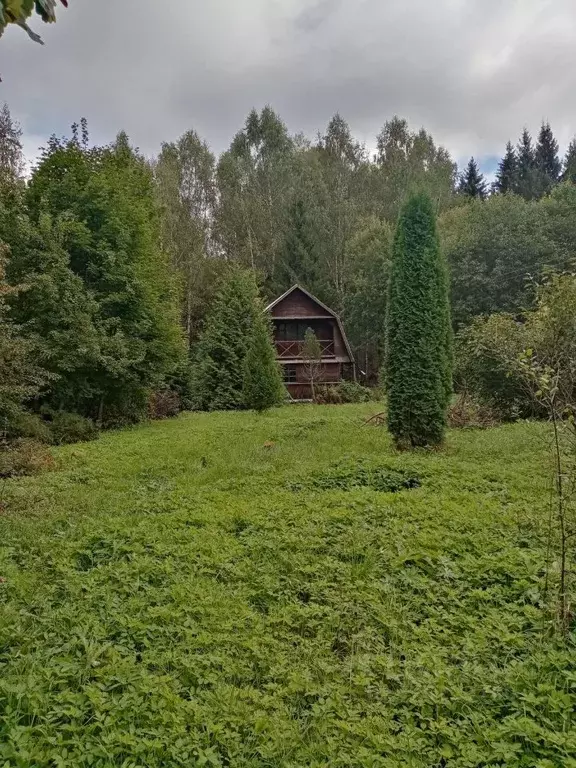 Дом в Смоленская область, Гагаринский муниципальный округ, Лаврихино ... - Фото 2