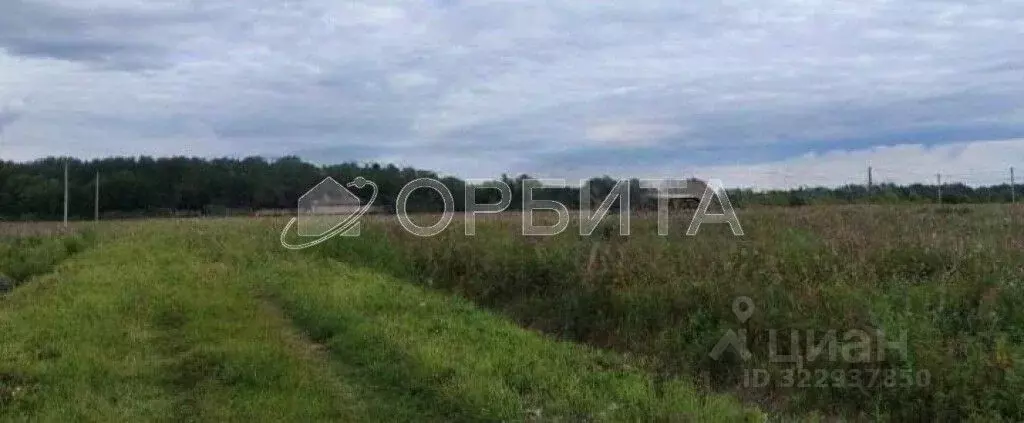 Участок в Тюменская область, Тюменский муниципальный округ, д. Большие ... - Фото 2