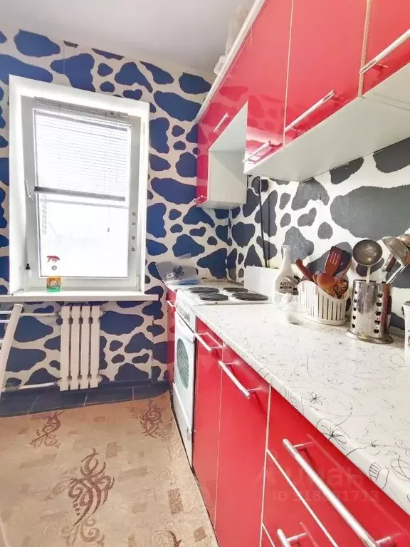 1-к кв. Краснодарский край, Новороссийск ул. Куникова, 50А (23.0 м) - Фото 1