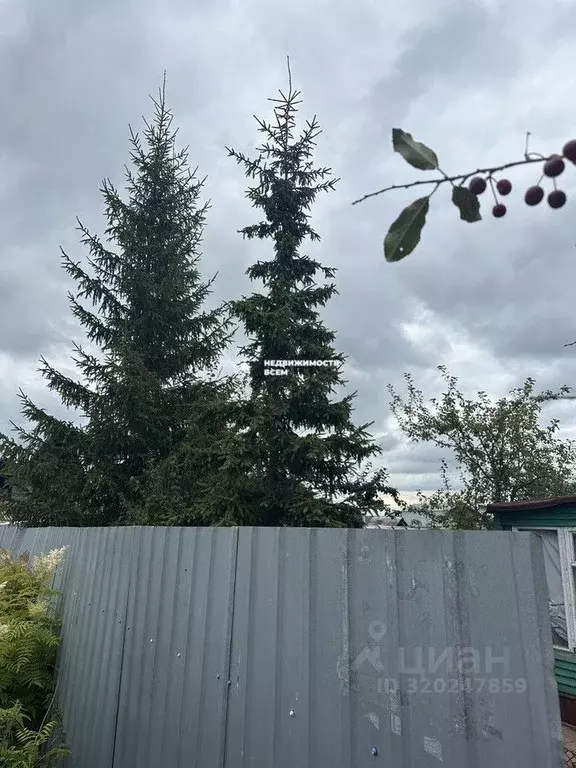 Дом в Челябинская область, Сосновский муниципальный округ, Полет-3 СНТ ... - Фото 2