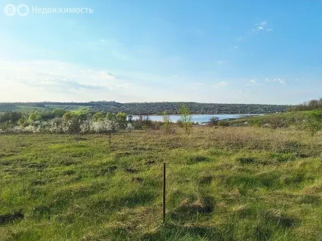 Участок в Шеинское сельское поселение, село Шеино (8 м) - Фото 2