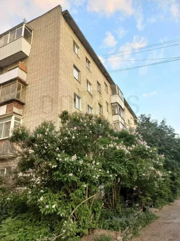 1-к. квартира, 30,8 м, 4/5 эт. - Фото 0