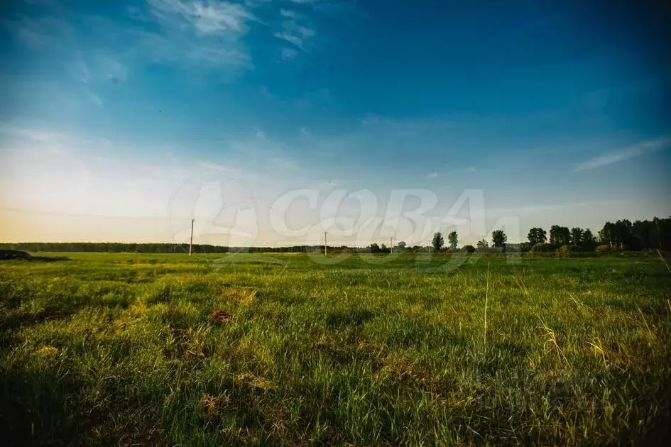 Участок в Тюменская область, Тюмень Казарово мкр, ул. Яблоневая (8.0 ... - Фото 0