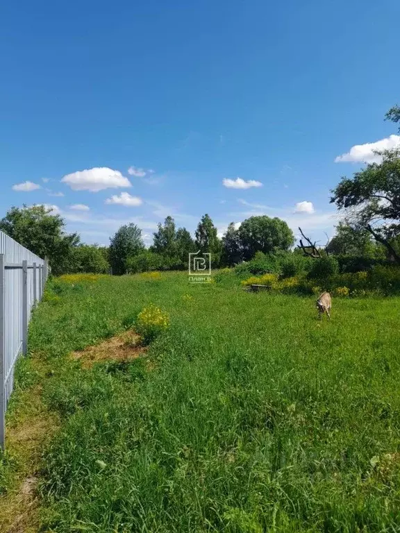 Участок в Калужская область, Дзержинский муниципальный округ, Совхоз ... - Фото 1