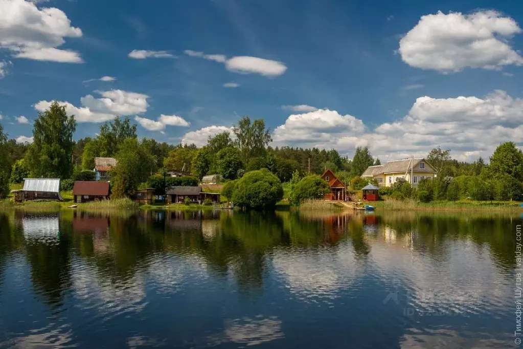 Участок в Новгородская область, Валдайский район, Едровское с/пос, д. ... - Фото 1