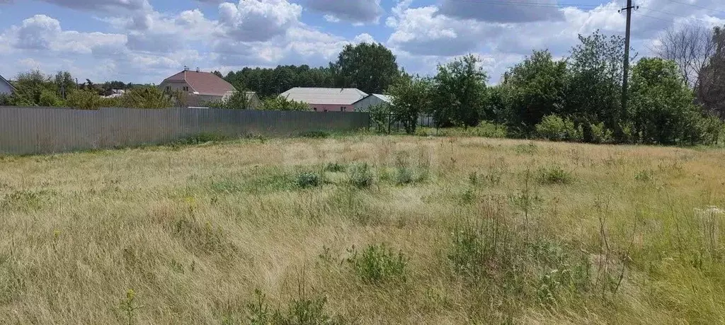 Участок в Воронежская область, Рамонский район, Айдаровское с/пос, с. ... - Фото 2