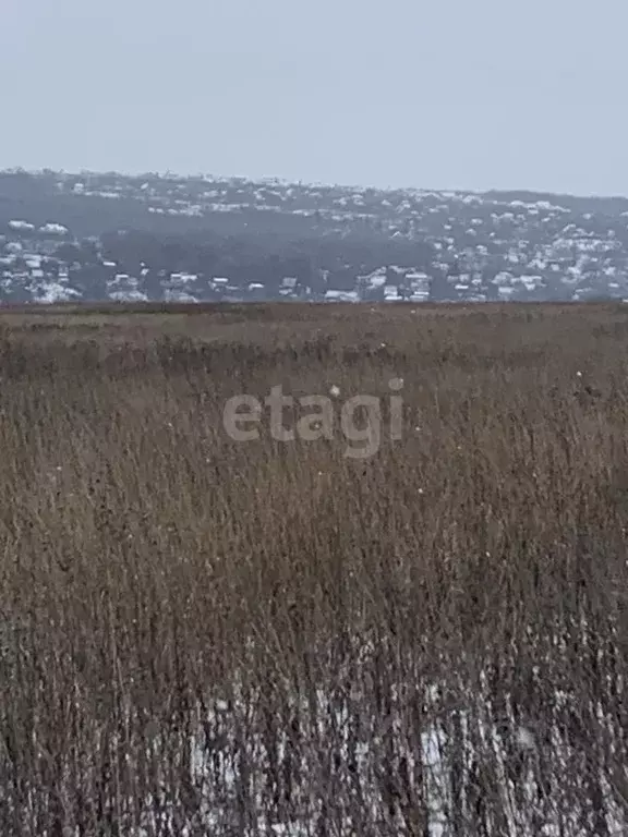 Участок в Белгородская область, Белгородский район, Головинское с/пос, ... - Фото 0