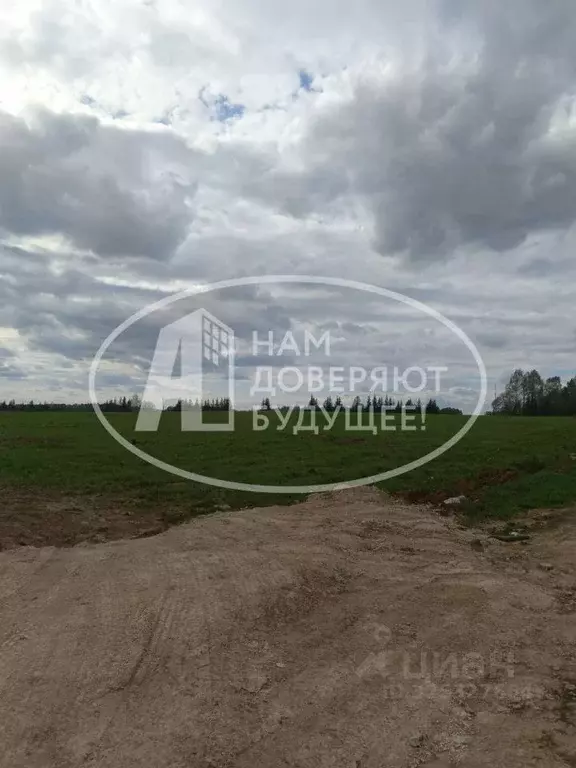 Участок в Пермский край, Кунгурский муниципальный округ, д. Теплая  ... - Фото 1