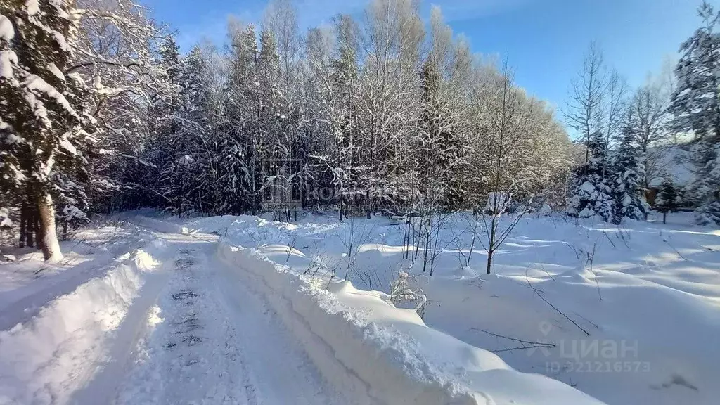 Участок в Владимирская область, Петушинское муниципальное образование, ... - Фото 1