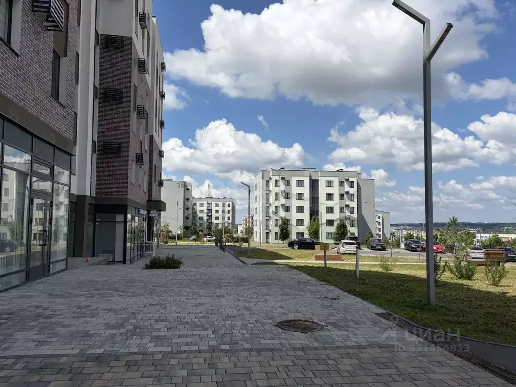 Помещение свободного назначения в Белгородская область, Белгород ул. ... - Фото 2